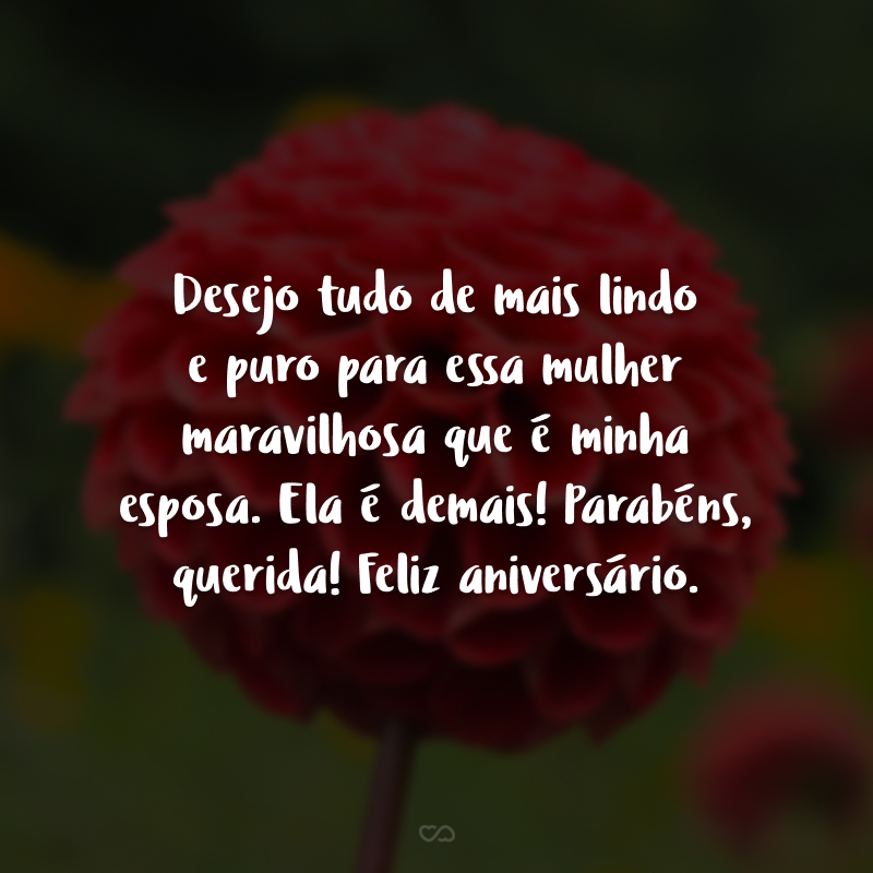 Desejo tudo de mais lindo e puro para essa mulher maravilhosa que é minha esposa. Ela é demais! Parabéns, querida! Feliz aniversário.