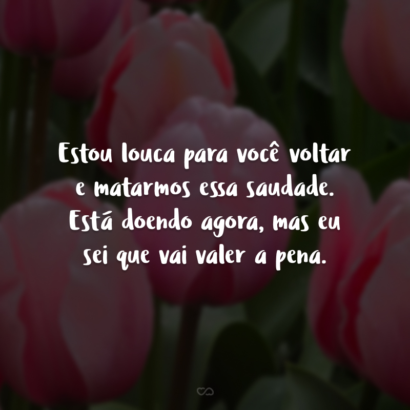 Estou louca para você voltar e matarmos essa saudade. Está doendo agora, mas eu sei que vai valer a pena.