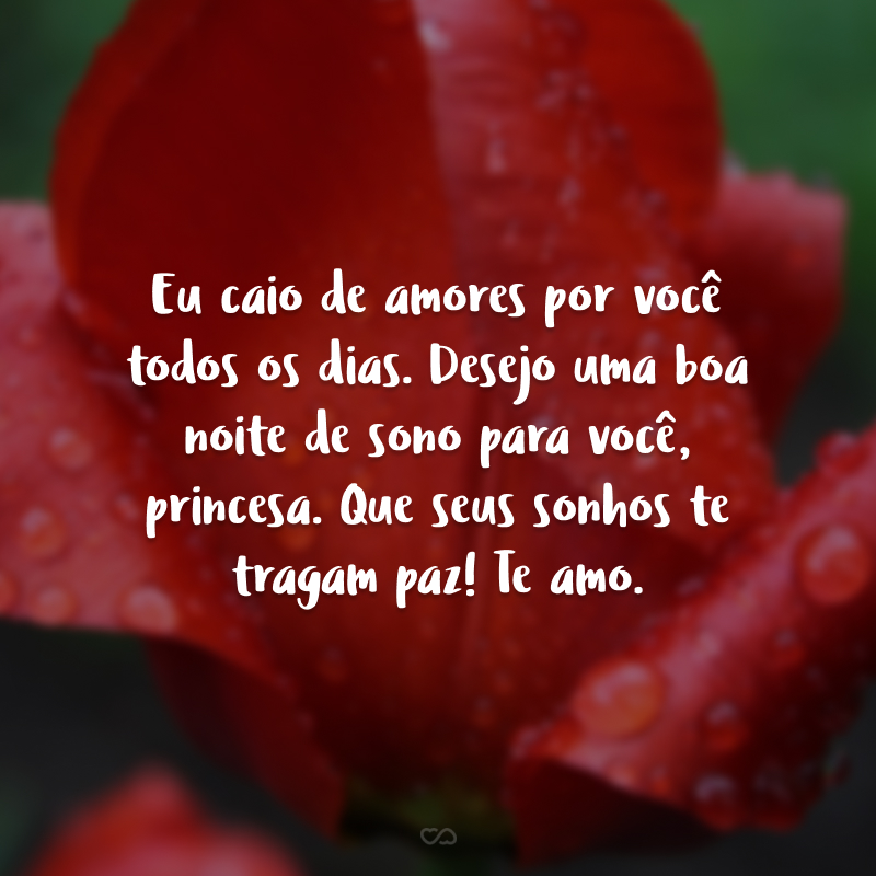 Eu caio de amores por você todos os dias. Desejo uma boa noite de sono para você, princesa. Que seus sonhos te tragam paz! Te amo.