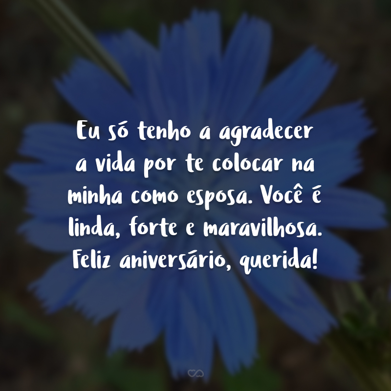 Eu só tenho a agradecer a vida por te colocar na minha como esposa. Você é linda, forte e maravilhosa. Feliz aniversário, querida!