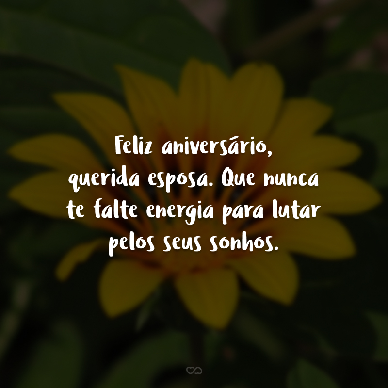 Feliz aniversário, querida esposa. Que nunca te falte energia para lutar pelos seus sonhos. 