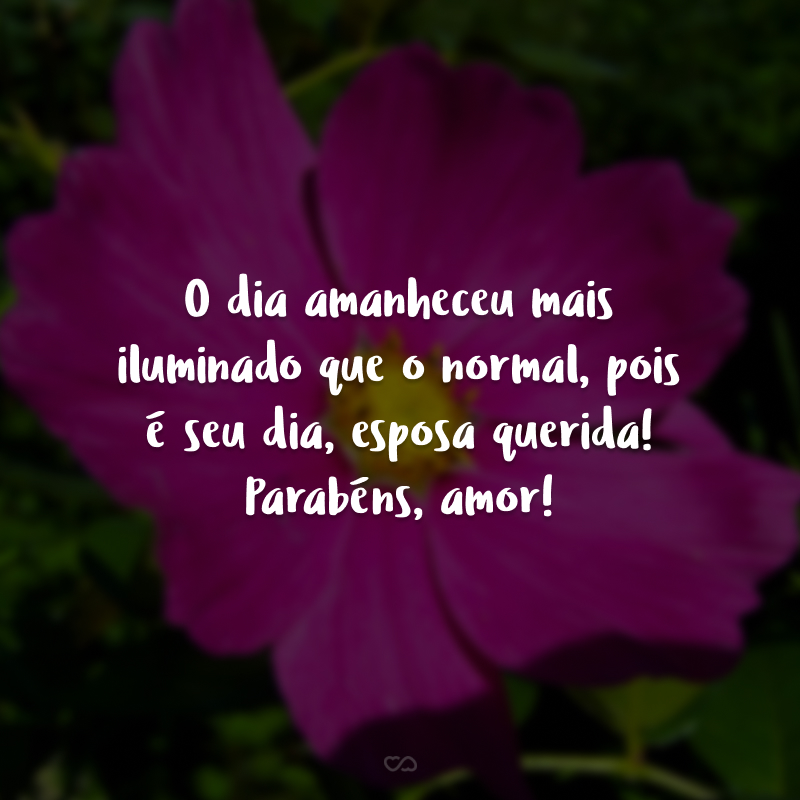 O dia amanheceu mais iluminado que o normal, pois é seu dia, esposa querida! Parabéns, amor!