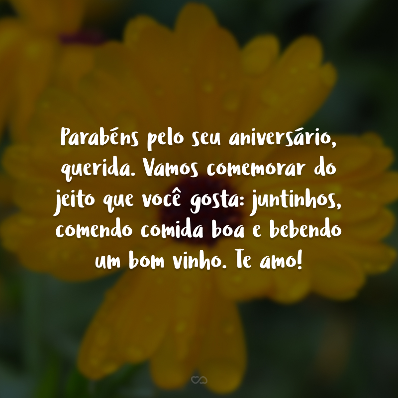 Parabéns pelo seu aniversário, querida. Vamos comemorar do jeito que você gosta: juntinhos, comendo comida boa e bebendo um bom vinho. Te amo!