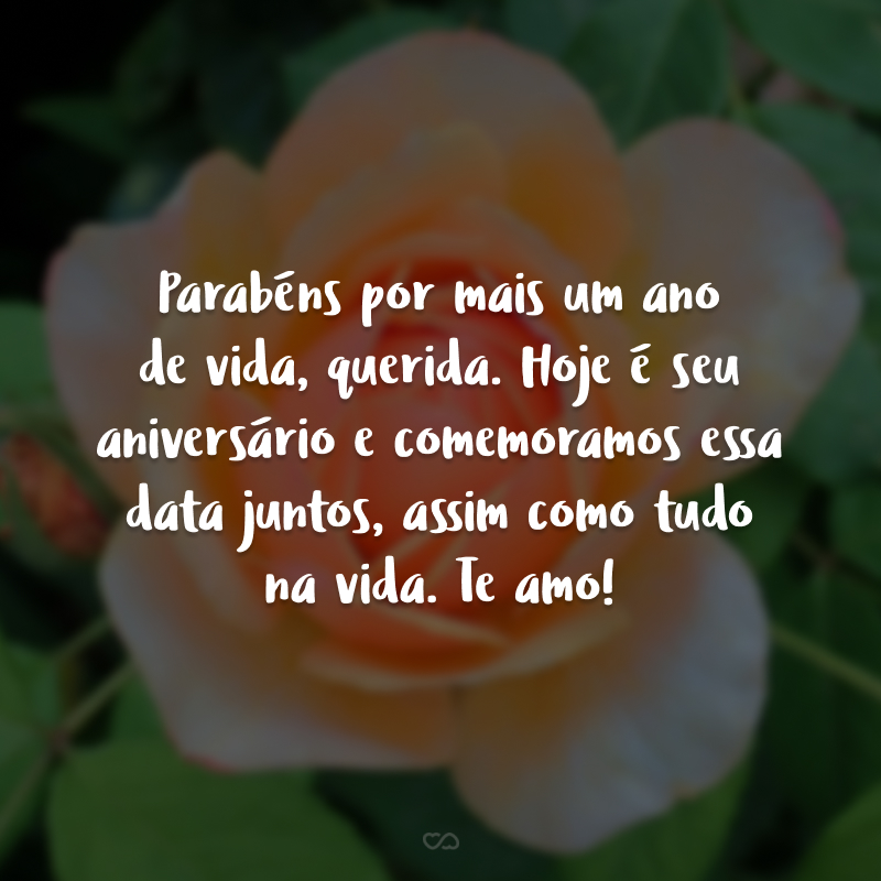 Parabéns por mais um ano de vida, querida. Hoje é seu aniversário e comemoramos essa data juntos, assim como tudo na vida. Te amo!