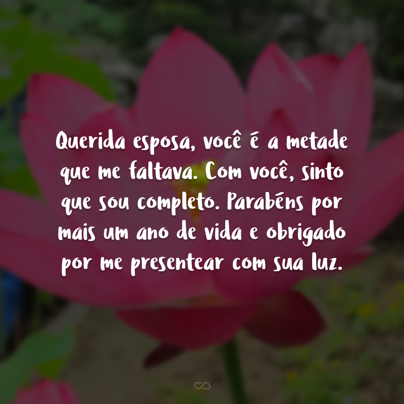 Querida esposa, você é a metade que me faltava. Com você, sinto que sou completo. Parabéns por mais um ano de vida e obrigado por me presentear com sua luz.