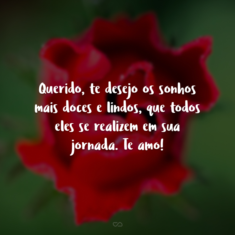 Querido, te desejo os sonhos mais doces e lindos, que todos eles se realizem em sua jornada. Te amo!