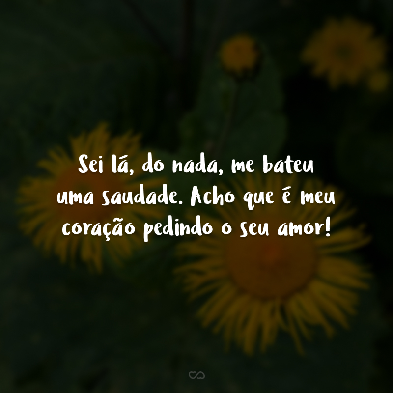 Sei lá, do nada, me bateu uma saudade. Acho que é meu coração pedindo o seu amor!