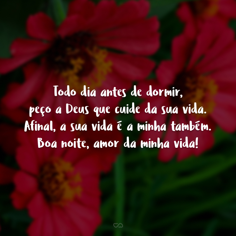 Todo dia antes de dormir, peço a Deus que cuide da sua vida. Afinal, a sua vida é a minha também. Boa noite, amor da minha vida!