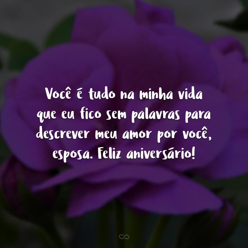 Você é tudo na minha vida que eu fico sem palavras para descrever meu amor por você, esposa. Feliz aniversário!