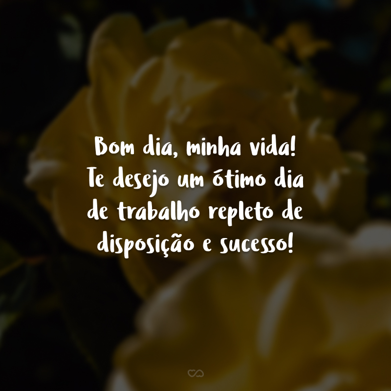 Bom dia, minha vida! Te desejo um ótimo dia de trabalho repleto de disposição e sucesso!