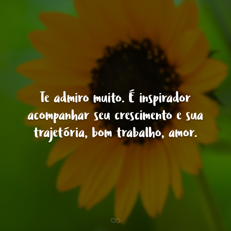 Te admiro muito. É inspirador acompanhar seu crescimento e sua trajetória, bom trabalho, amor.