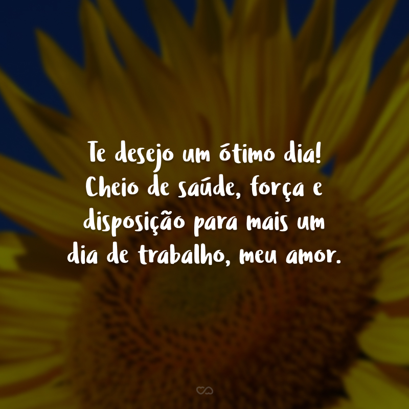 Te desejo um ótimo dia! Cheio de saúde, força e disposição para mais um dia de trabalho, meu amor. 