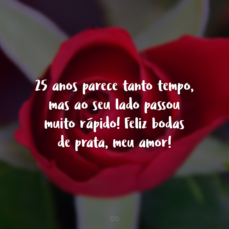 25 anos parece tanto tempo, mas ao seu lado passou muito rápido! Feliz bodas de prata, meu amor! 