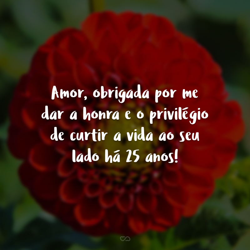 Amor, obrigada por me dar a honra e o privilégio de curtir a vida ao seu lado há 25 anos!