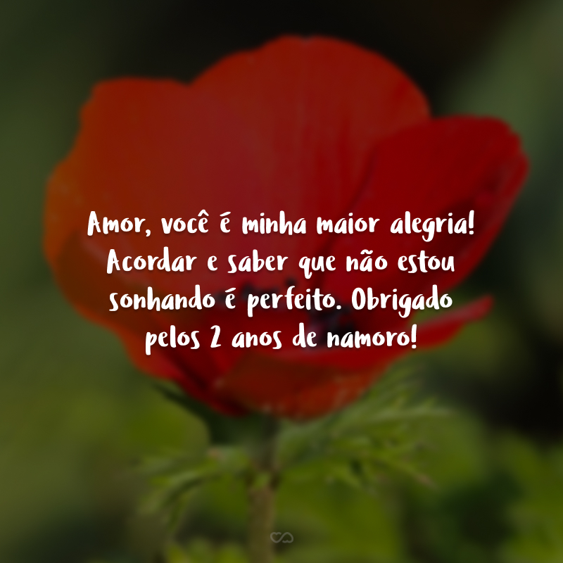 Amor, você é minha maior alegria!  Acordar e saber que não estou sonhando é perfeito. Obrigado pelos 2 anos de namoro!