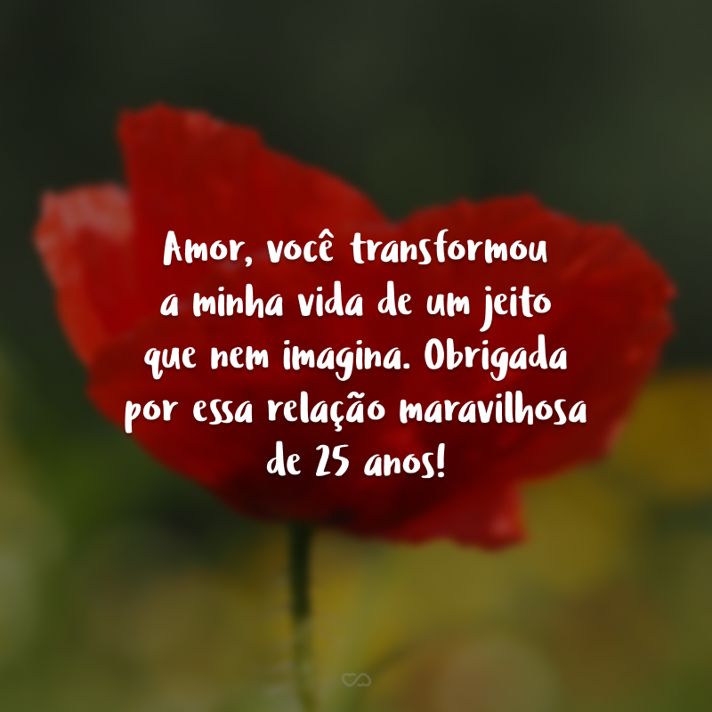 Amor, você transformou a minha vida de um jeito que nem imagina. Obrigada por essa relação maravilhosa de 25 anos!