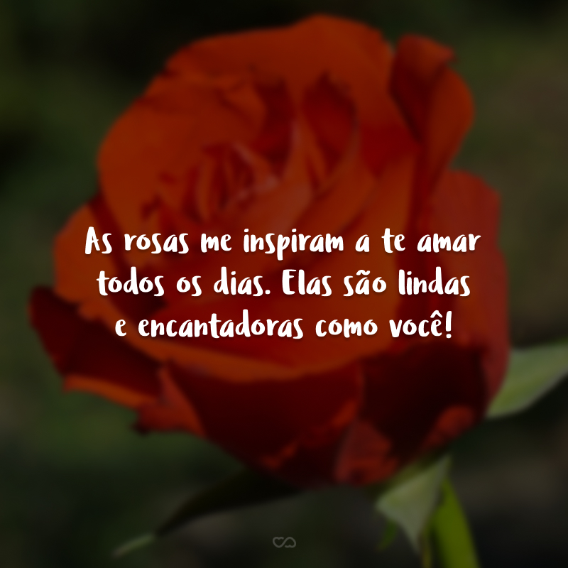 As rosas me inspiram a te amar todos os dias. Elas são lindas e encantadoras como você! 