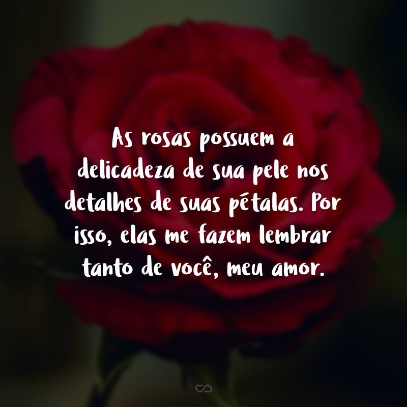 As rosas possuem a delicadeza de sua pele nos detalhes de suas pétalas. Por isso, elas me fazem lembrar tanto de você, meu amor.