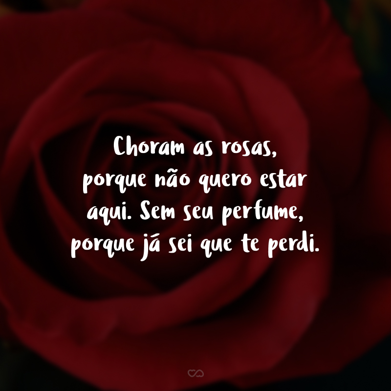 Choram as rosas, porque não quero estar aqui. Sem seu perfume, porque já sei que te perdi.