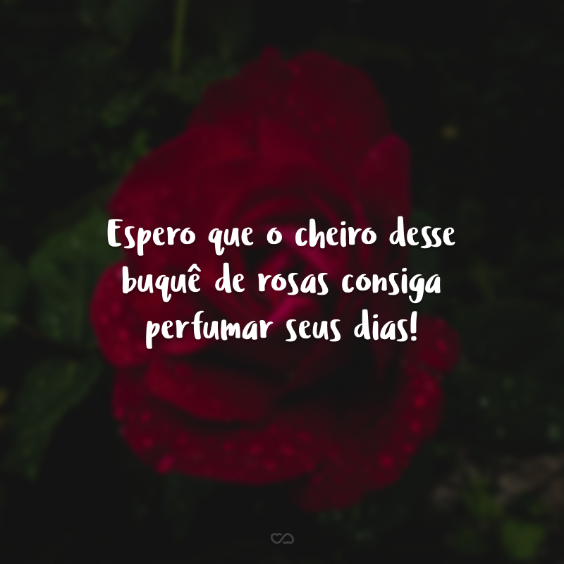 Espero que o cheiro desse buquê de rosas consiga perfumar seus dias!