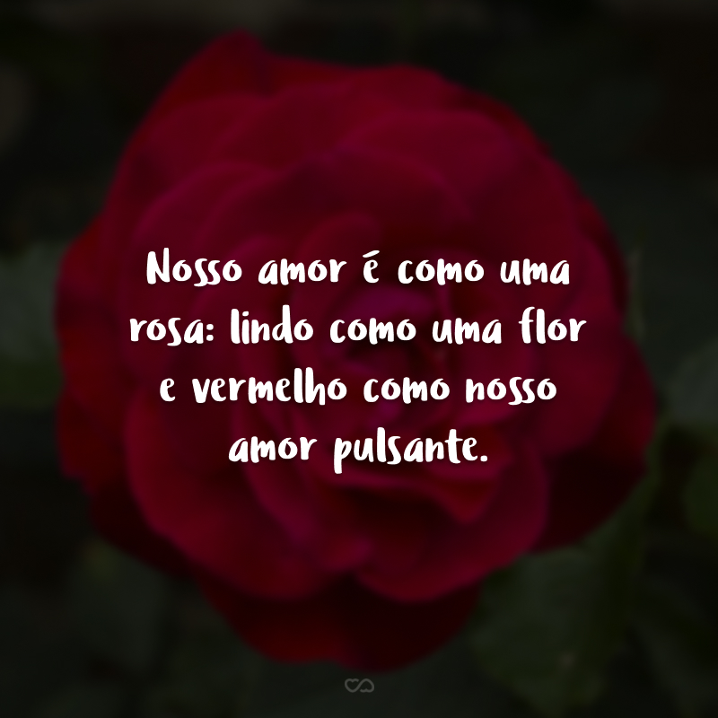 Nosso amor é como uma rosa: lindo como uma flor e vermelho como nosso amor pulsante.