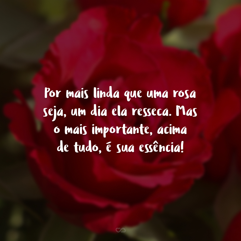 Por mais linda que uma rosa seja, um dia ela resseca. Mas o mais importante, acima de tudo, é sua essência!