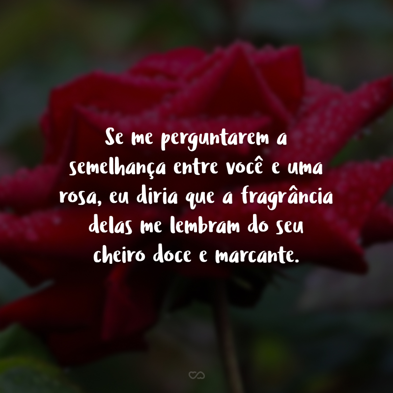 Se me perguntarem a semelhança entre você e uma rosa, eu diria que a fragrância delas me lembram do seu cheiro doce e marcante.