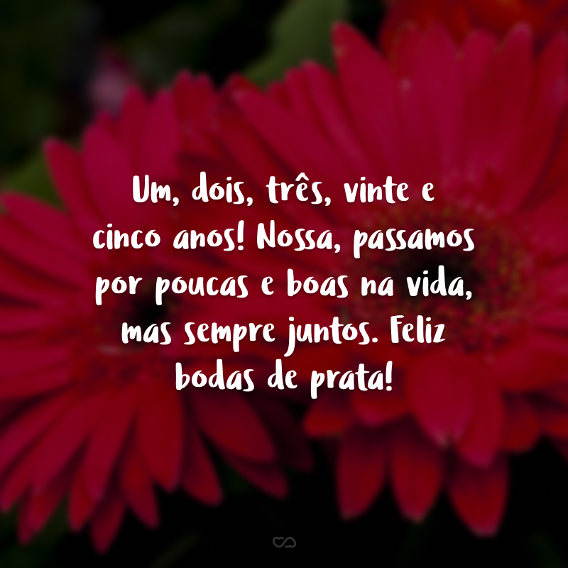 Um, dois, três, vinte e cinco anos! Nossa, passamos por poucas e boas na vida, mas sempre juntos. Feliz bodas de prata!