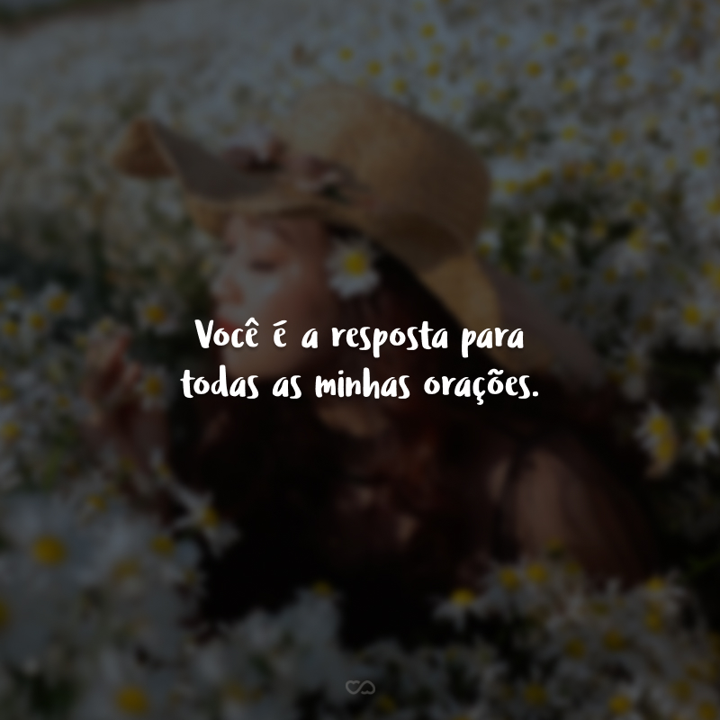 Você é a resposta para todas as minhas orações. Você é uma canção, um sonho, um murmúrio, e não sei como consegui viver sem você durante tanto tempo.