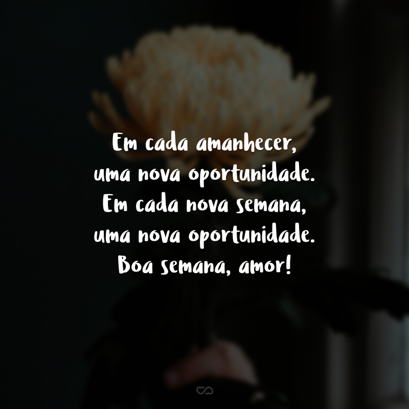 Em cada amanhecer, uma nova oportunidade. Em cada nova semana, uma nova oportunidade. Boa semana, amor!