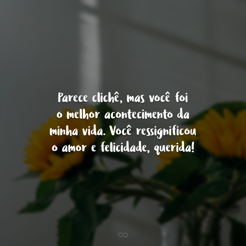 Parece clichê, mas você foi o melhor acontecimento da minha vida. Você ressignificou o amor e felicidade, querida!