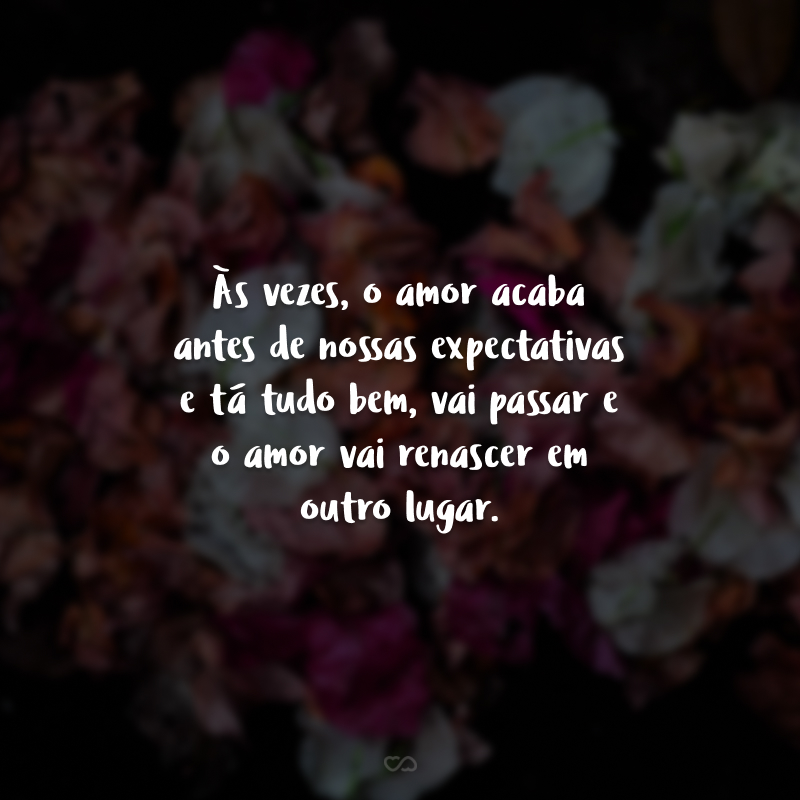 Às vezes, o amor acaba antes de nossas expectativas e tá tudo bem, vai passar e o amor renascer em outro lugar.