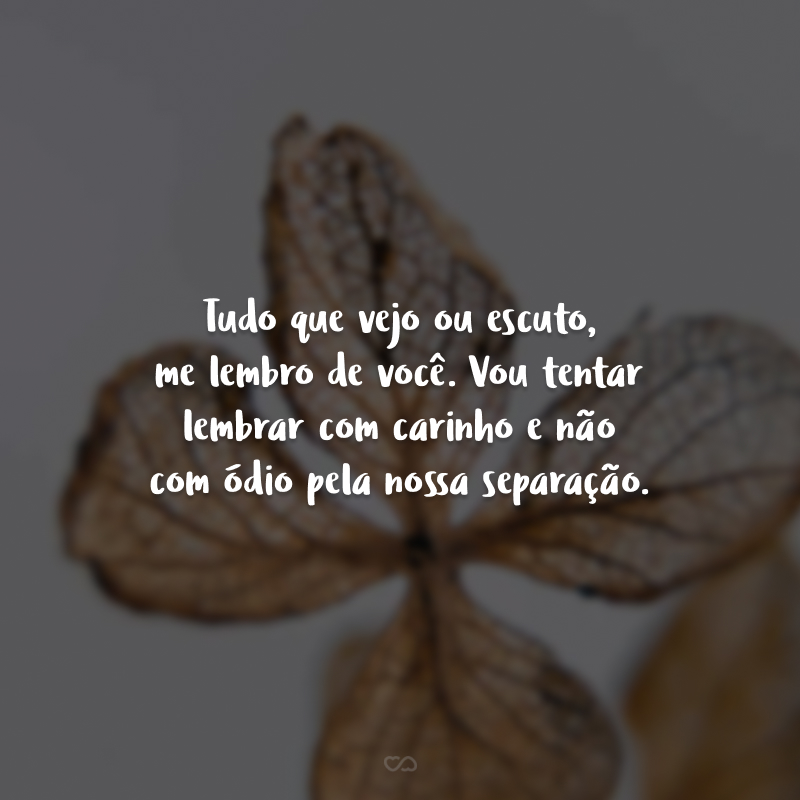 Tudo que vejo ou escuto, me lembro de você. Vou tentar lembrar com carinho e não com ódio pela nossa separação.