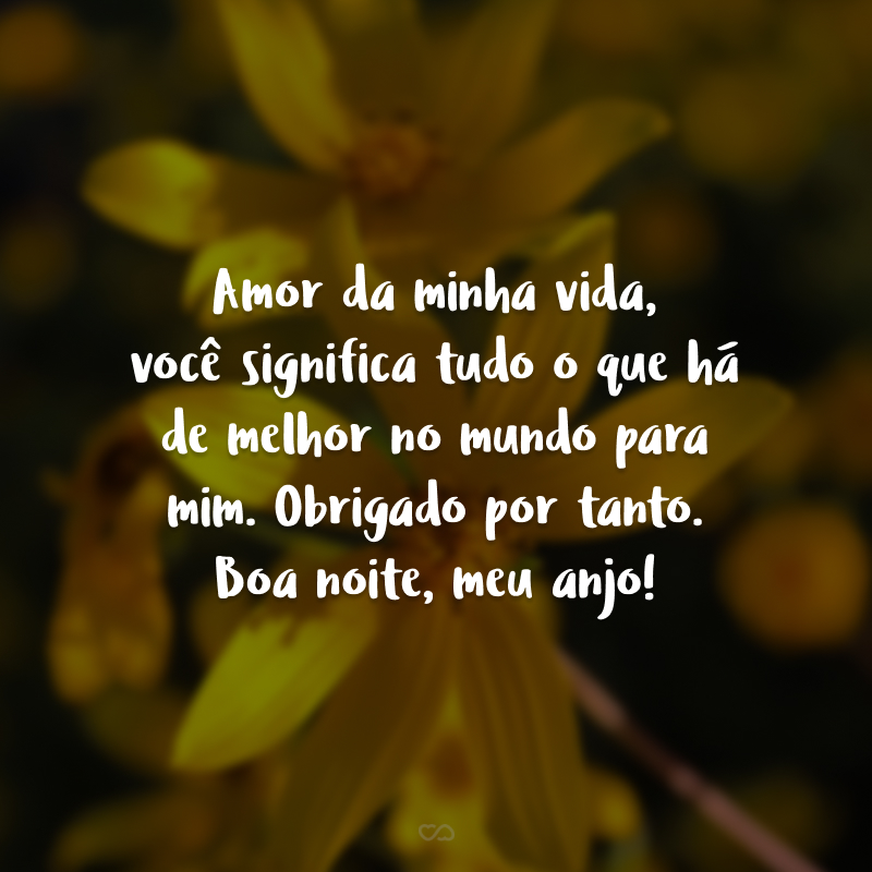 Amor da minha vida, você significa tudo o que há de melhor no mundo para mim. Obrigado por tanto. Boa noite, meu anjo!