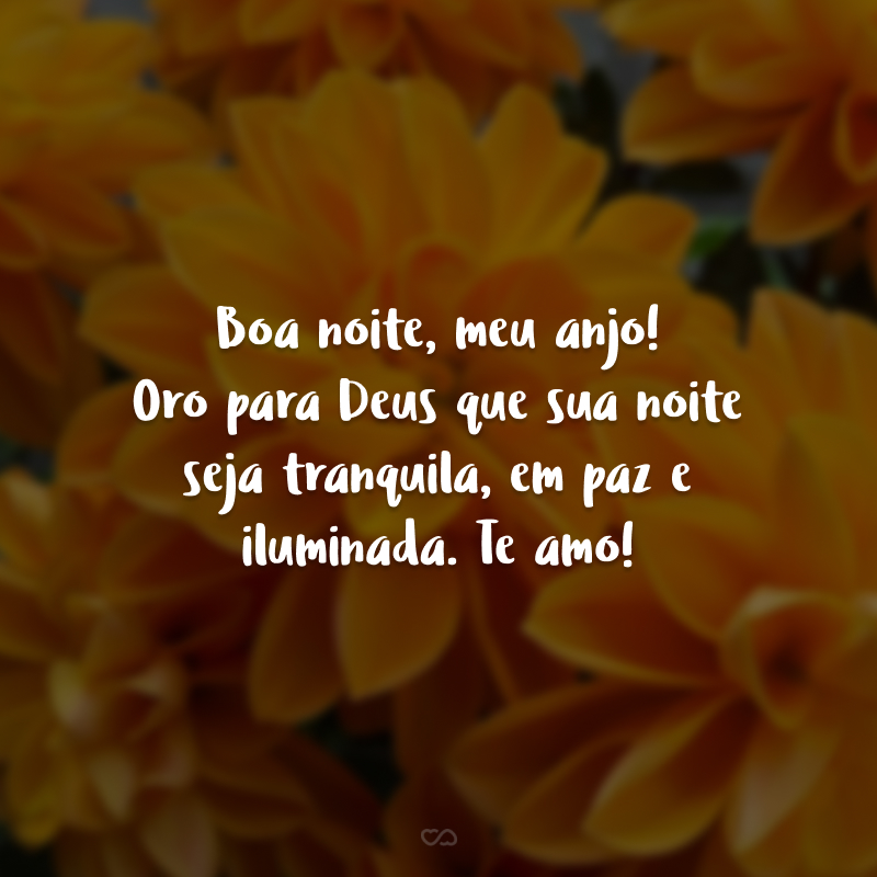 Boa noite, meu anjo! Oro para Deus que sua noite seja tranquila, em paz e iluminada. Te amo!