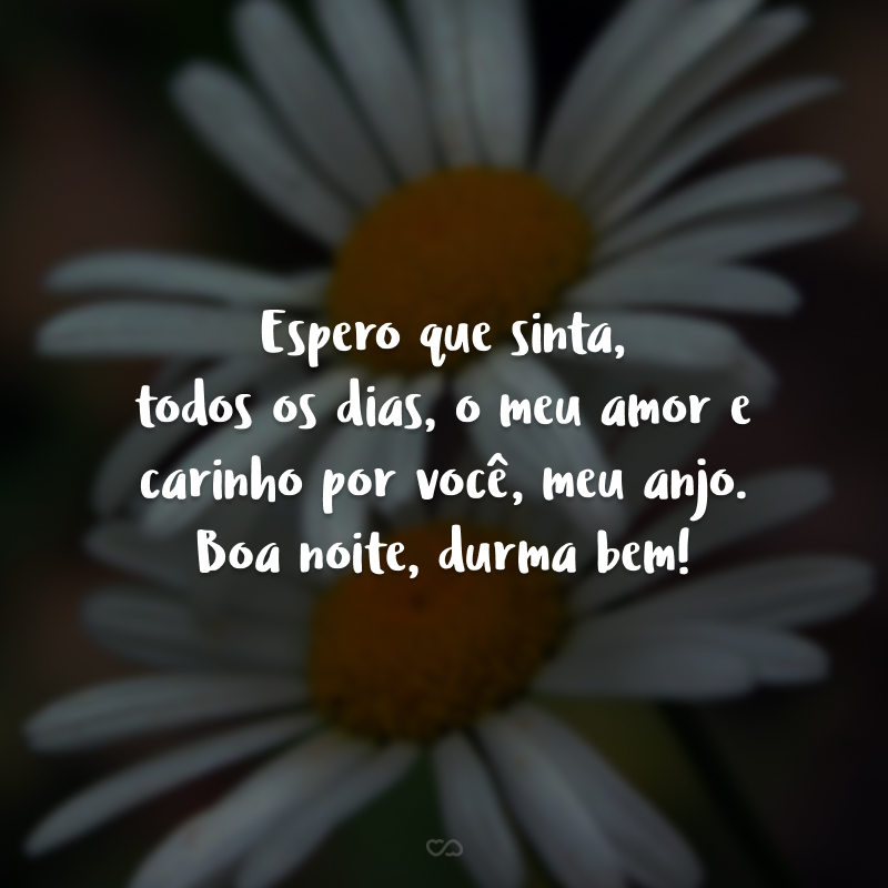 Espero que sinta, todos os dias, o meu amor e carinho por você, meu anjo. Boa noite, durma bem!