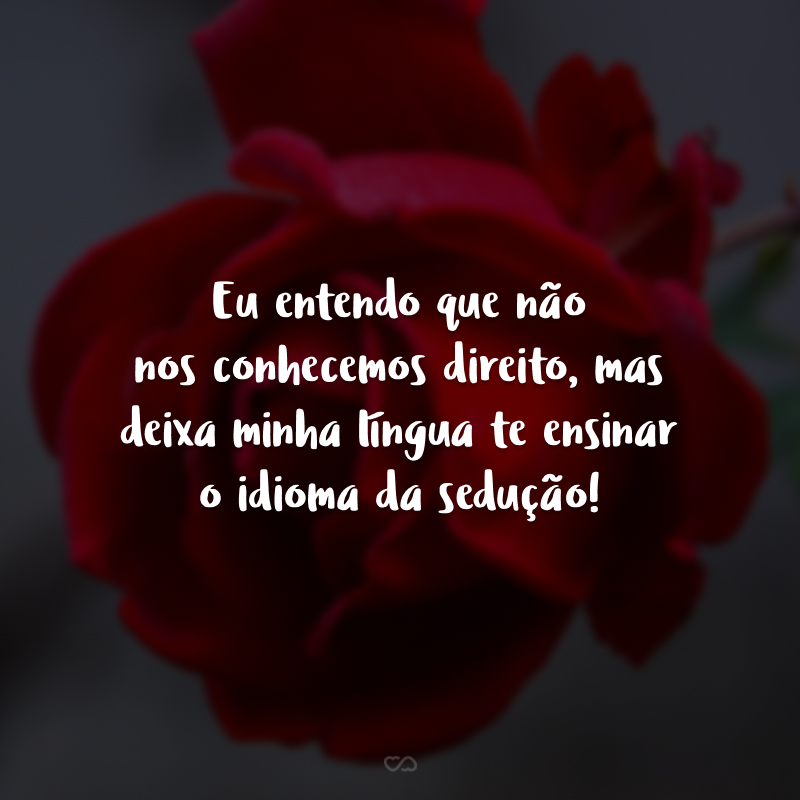 Eu entendo que não nos conhecemos direito, mas deixa minha língua te ensinar o idioma da sedução!