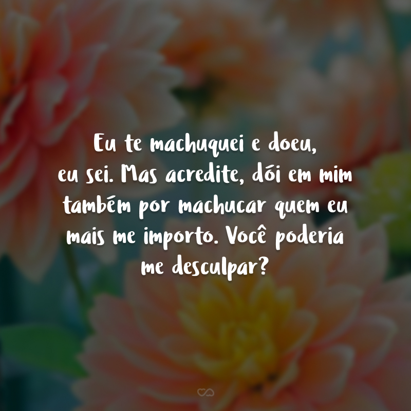 Eu te machuquei e doeu, eu sei. Mas acredite, dói em mim também por machucar quem eu mais me importo. Você poderia me desculpar?