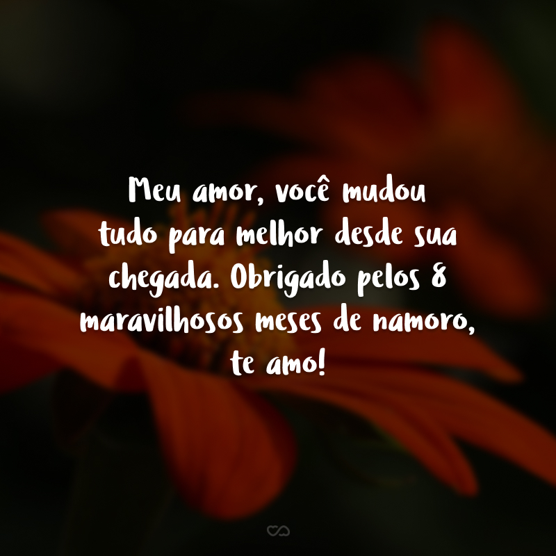 Meu amor, você mudou tudo para melhor desde sua chegada. Obrigado pelos 8 maravilhosos meses de namoro, te amo!