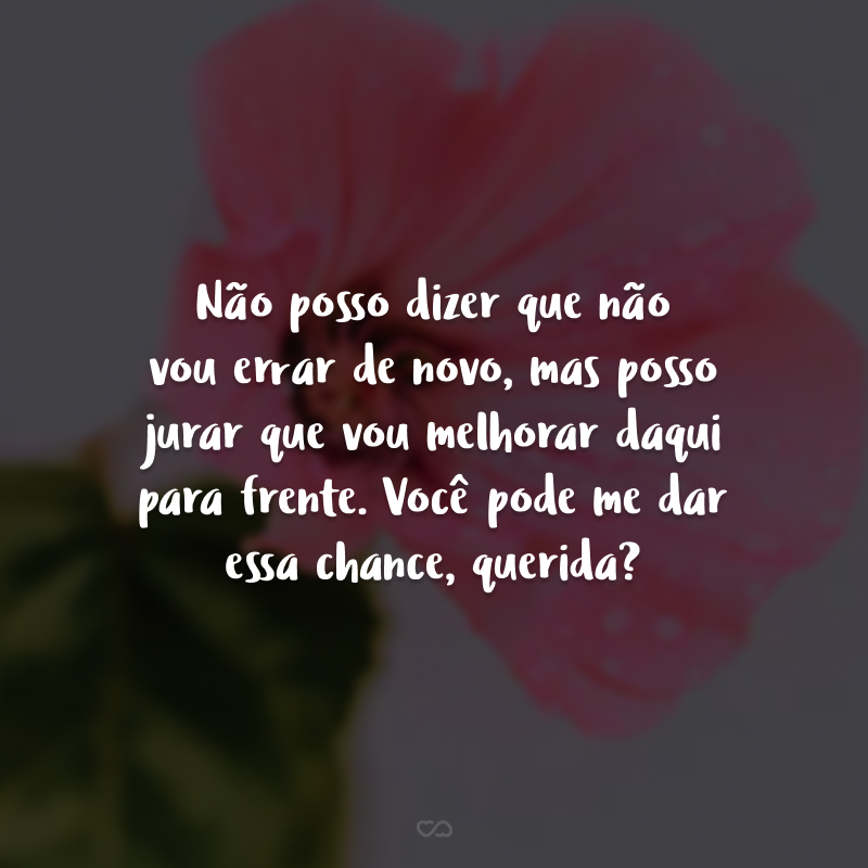 Não posso dizer que não vou errar de novo, mas posso jurar que vou melhorar daqui para frente. Você pode me dar essa chance, querida?