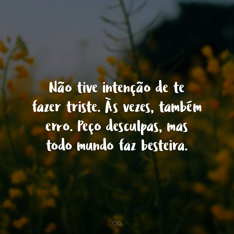 Não tive intenção de te fazer triste. Às vezes, também erro. Peço desculpas, mas todo mundo faz besteira.