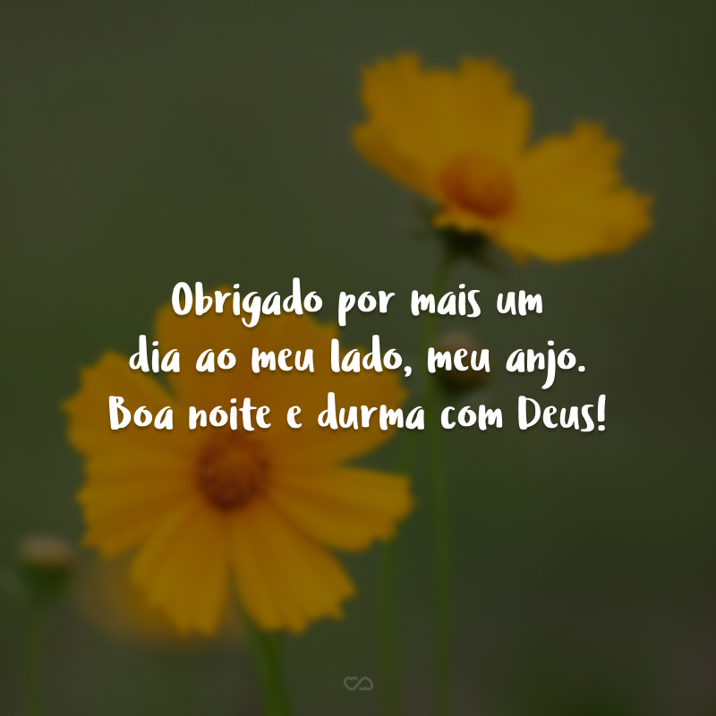 Obrigado por mais um dia ao meu lado, meu anjo. Boa noite e durma com Deus!