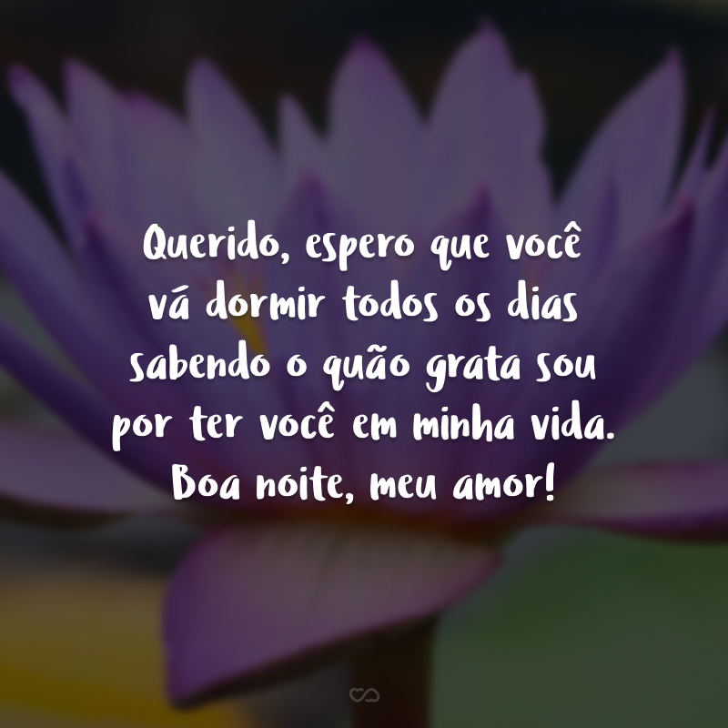 Querido, espero que você vá dormir todos os dias sabendo o quão grata sou por ter você em minha vida. Boa noite, meu amor!