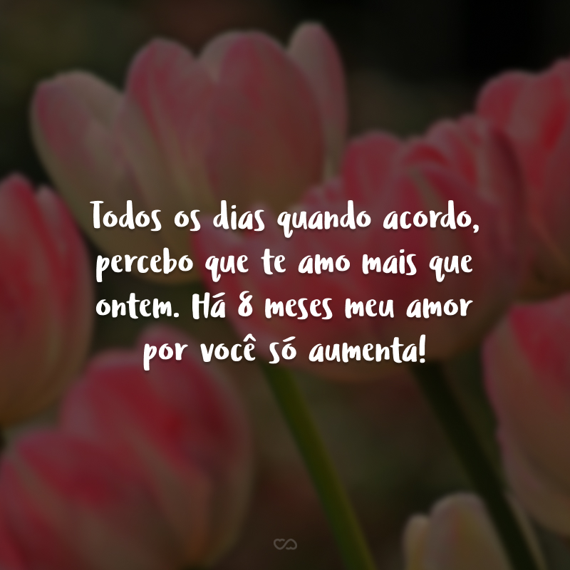 Todos os dias quando acordo, percebo que te amo mais que ontem. Há 8 meses meu amor por você só aumenta!