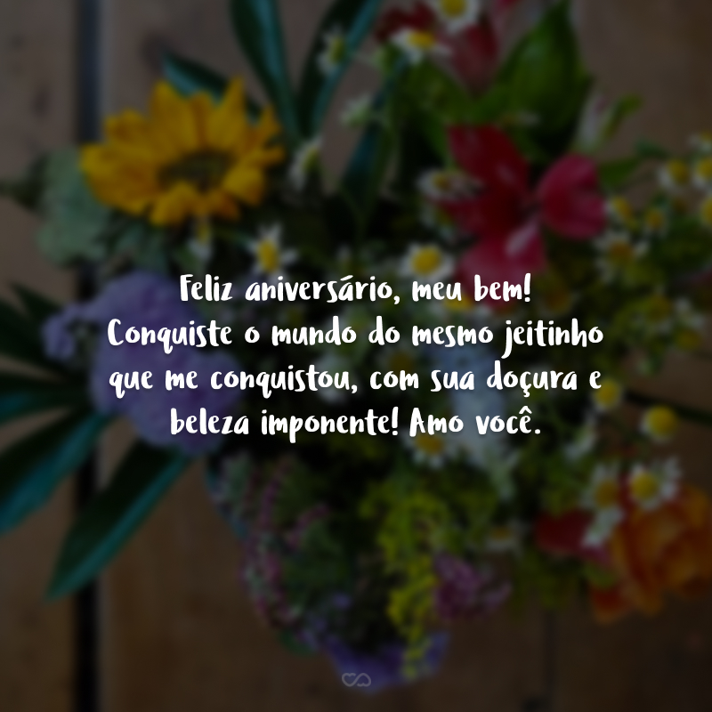 Feliz aniversário, meu bem! Conquiste o mundo do mesmo jeitinho que me conquistou, com sua doçura e beleza imponente! Amo você.