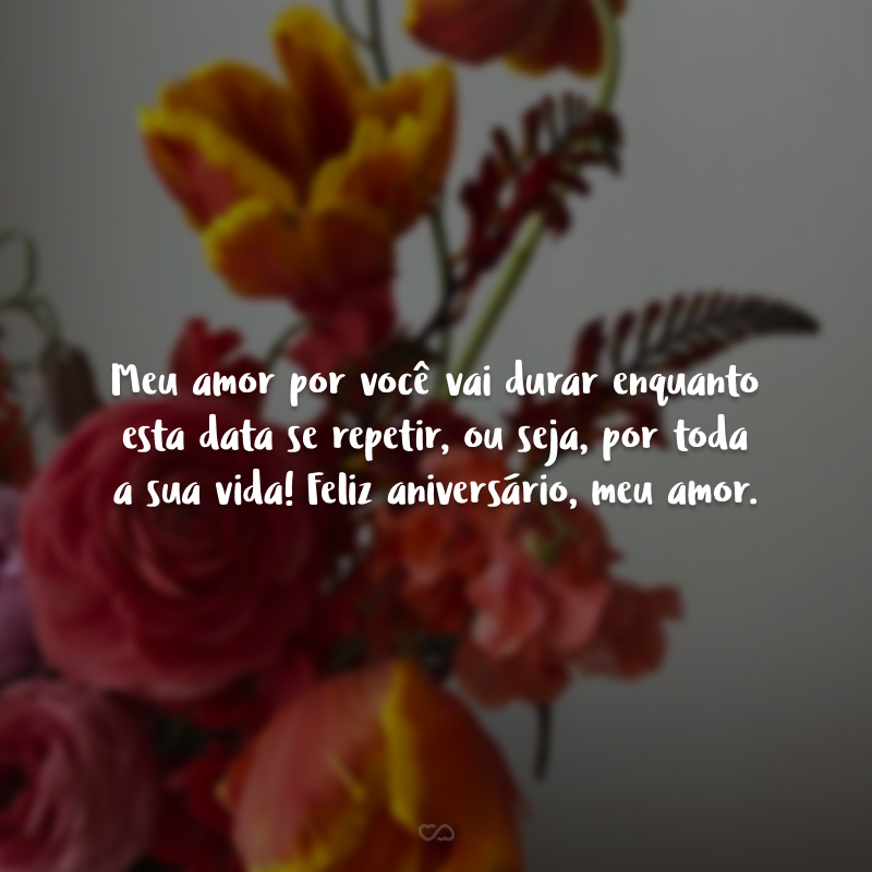 Meu amor por você vai durar enquanto esta data se repetir, ou seja, por toda a sua vida! Feliz aniversário, meu amor.