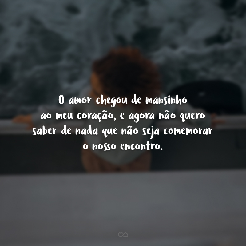 O amor chegou de mansinho ao meu coração, e agora não quero saber de nada que não seja comemorar o nosso encontro.