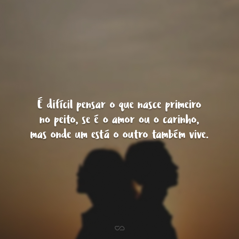 É difícil pensar o que nasce primeiro no peito, se é o amor ou o carinho, mas onde um está o outro também vive.